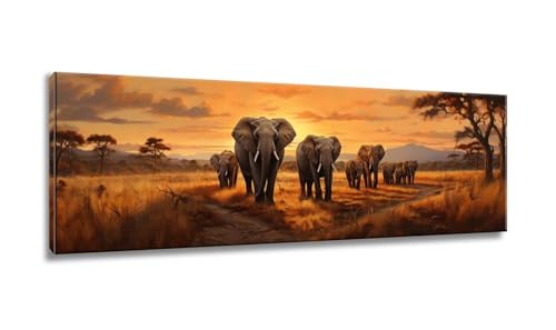 Diamond Painting Erwachsene, Diamond Painting Elefant, Diamond Painting Groß xxl 60x180cm, Diamant Painting Bilder,Sonnenuntergang Diamond Painting Eckige Steine,Diamond Painting für Home Decor MX-109 von Mixmblon