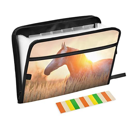 Pferde Fächermappe Dokumententasche Akten Organizer A4 für Klassenzimmer, Zuhause, Büro und Reisen, grauer Hengst Portrait bei Sonnenaufgang Licht Pferde Fächermappe Dokumententasche Akten Organizer A4 für Klassenzimmer, Zuhause, Büro und Reisen, grauer Hengst Portrait bei Sonnenaufgang Licht von Mnrsuu