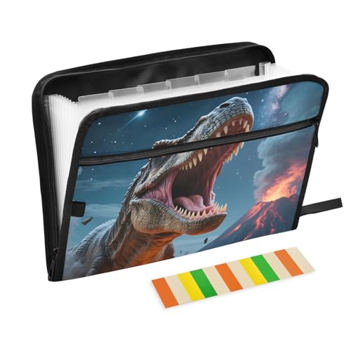 Dinosaur Roar Fächermappe mit 13 Fächern, Fächermappe mit Vordertasche, tragbare Business-Aktenaufbewahrung, Dokumenten-Organizer, Ordner mit Reißverschluss von Mnsruu