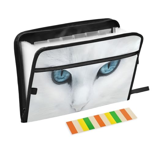 Dokumenten-Organizer mit 13 Fächern, weiße Katze, blaue Augen, Fächermappe mit Vordertasche, tragbare Business-Aktenaufbewahrung, Dokumenten-Organizer, Ordner mit Reißverschluss von Mnsruu