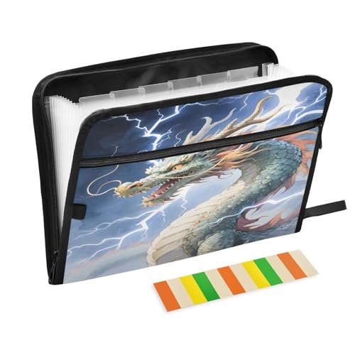 Dragon Lightning Fächermappe mit 13 Fächern, Fächermappe mit Fronttasche, tragbare Business-Dateiaufbewahrung, Dokumenten-Organizer, Ordner mit Reißverschluss von Mnsruu
