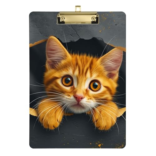 Klemmbrett Katze in Wand, Acryl, mit Metallclip, Standard-A4-Größe, 31,8 x 22,9 cm, Klemmbretter für Krankenschwestern, Studenten, Lehrer, Frauen, Männer, Klassenzimmer, Büro von Mnsruu