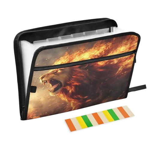 Lion Flame Fächermappe mit 13 Fächern, Fächermappe mit Vordertasche, tragbare Business-Aktenaufbewahrung, Dokumenten-Organizer, Ordner mit Reißverschluss von Mnsruu