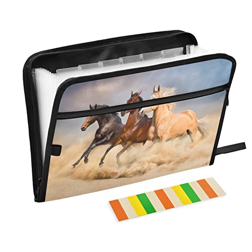 Mnsruu Horse Run in Sand 13 Pocket Expanding File Folder with Labels, Akkordeon File Folder File Organizer Letter A4 Paper for Office School Student Mnsruu Horse Run in Sand 13 Pocket Expanding File Folder with Labels, Akkordeon File Folder File Organizer Letter A4 Paper for Office School Student von Mnsruu