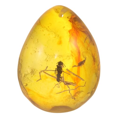 Mobestech Insekten Bernstein Ornamente für DIY Handwerk Natürliche Bernstein Anhänger Kreative Insekten Sammlung Schmuckstücke Perfektes für Freunde Mobestech Insekten Bernstein Ornamente für DIY Handwerk Natürliche Bernstein Anhänger Kreative Insekten Sammlung Schmuckstücke Perfektes für Freunde von Mobestech