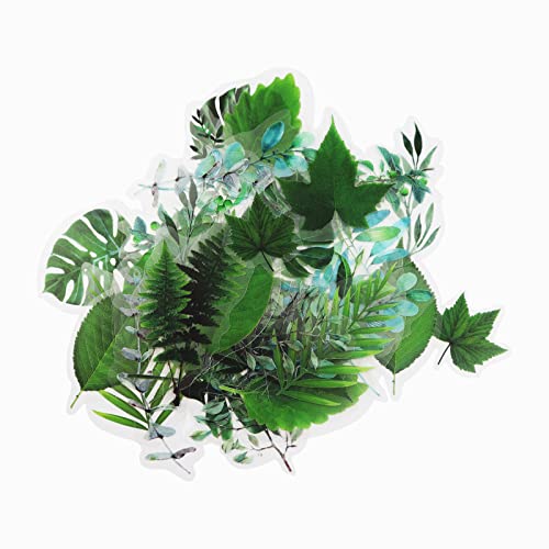 Modixun 160pcs Blume Pflanze Aufkleber, 20 Muster PET transparente dekorative Aufkleber, Blume Scrapbooking Aufkleber, Floral Washi Aufkleber für Handwerk Album Journal, Stil C von Modixun