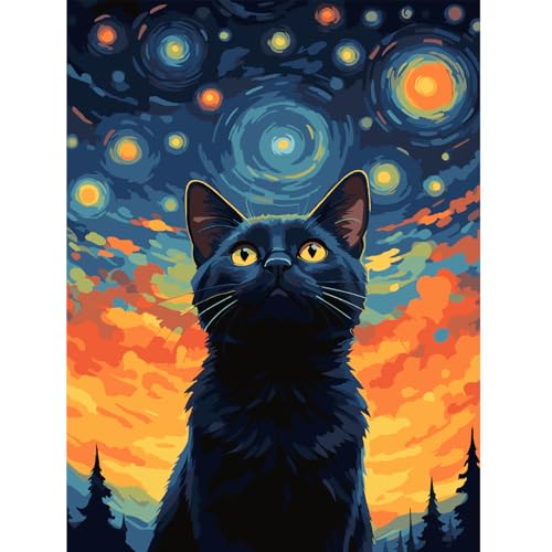 Modojuny Malen nach Zahlen für Erwachsene und Kinder, DIY Geschenk Leinwand Malerei Kit mit Acrylpigment und Pinseln, 30 x 40 cm Schwarze Katze (ohne Rahmen) – ab 9 Jahren von Modojuny
