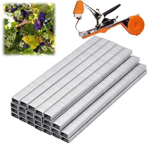 Heftklammern Bindezange, Obstbaum Binder Heftklammern für Pflanzen Bindezange, Garten Bonsai Gartenschere Zweig Binder Nagel, Pflanzenband Werkzeug Klammern für Tomaten und Vining Gemüse Tapener Heftklammern Bindezange, Obstbaum Binder Heftklammern für Pflanzen Bindezange, Garten Bonsai Gartenschere Zweig Binder Nagel, Pflanzenband Werkzeug Klammern für Tomaten und Vining Gemüse Tapener von Mokernali
