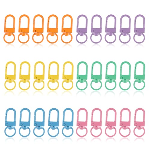 Molain 30 Stück Mini Karabiner Schlüsselanhänger, Kleine Karabinerhaken Bunt, Zinklegierung Karabiner Drehbar Bunte Schwenker Haken zum DIY Handtasche Basteln Keychain Schlüsselring Stecker Schmuck von Molain