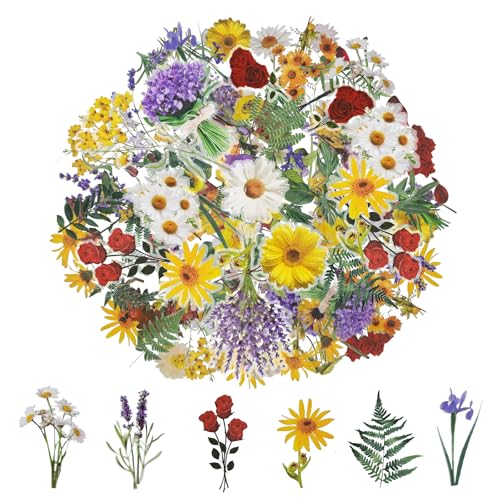 Molirex Transparente Scrapbook-Stickers Set 18 BöGen, PET-Sticker Blumen, Aufkleber Blumen FüR Scrapbook Fotoalbum Alben Tassen Laptops von Molirex