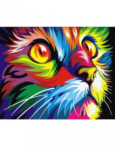 Moments Malen Nach Zahlen Set Regenbogen Katze 40x50 - Malset nach Zahlen, Selbstmalerei für Kunstanfänger, Kinder und Erwachsene, kreative Freizeit von Moments