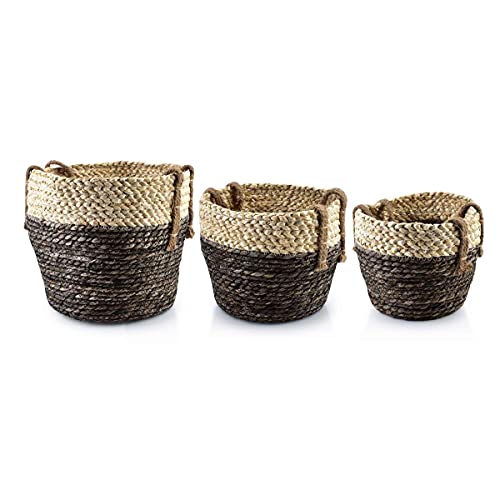 Mondex HIWB3182 Kerzen, Creme, One Size Mondex HIWB3182 Kerzen, Creme, One Size von Mondex