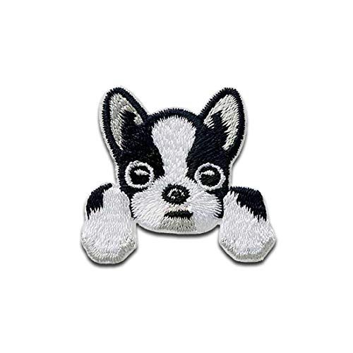 Hund Pocket Tier - Aufnäher, Bügelbild, Aufbügler, Applikationen, Patches, Flicken, zum aufbügeln, Größe: 3,4 x 3,7 cm Hund Pocket Tier - Aufnäher, Bügelbild, Aufbügler, Applikationen, Patches, Flicken, zum aufbügeln, Größe: 3,4 x 3,7 cm von Mono-Quick
