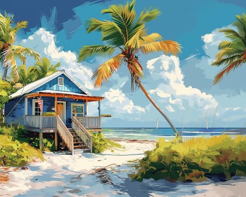 Moohue Nadelspitzen-Kits, 14-fädig, gezähltes Kreuzstich-Set für Erwachsene, fortschrittliches Strandhaus, Kreuzstichmuster (Strandhaus) von Moohue