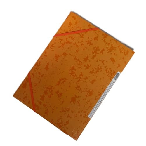A 4 DocumentsOrganizer Aktenordner mit Gummizugverschluss Organizer Sortiermappen Dokumentenmappe für Schule Büro Dokumentenmappen Organizer mit Gummizugverschluss für Schule von Morain