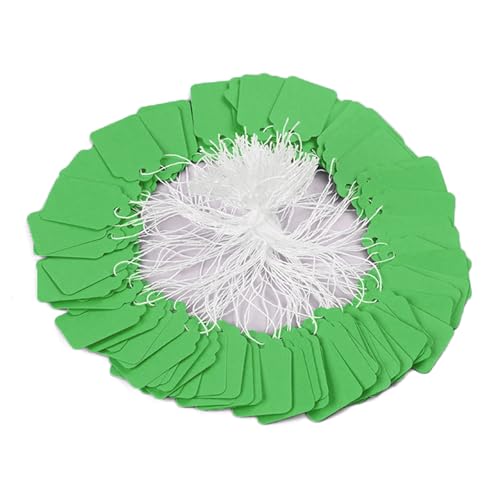 Etiketten mit Schnur, beschreibbare Namensschilder, Papier, zum Aufhängen, 22 x 35 mm, für Schmuck, 500 Stück Etiketten mit Schnur, beschreibbare Namensschilder, Papier, zum Aufhängen, 22 x 35 mm, für Schmuck, 500 Stück von Morain