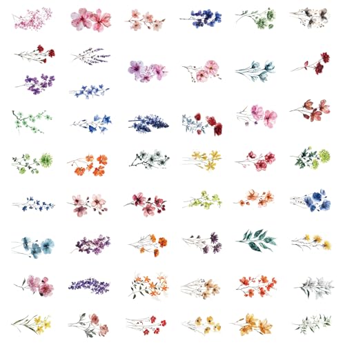 Geschenkaufkleber Pflanzenaufkleber Blumenpraxis Aufkleber Aufkleber Labels Schöne Dekorative Aufkleber Aufkleber Aufkleber Aufkleber Aufkleber Aufkleber Blumen Aufkleber Aufkleber Aufkleber Aufkleber von Morain
