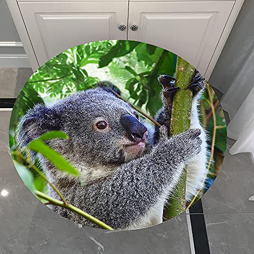 Morbuy Rund Tischdecke Elastisch, 3D Koala Drucken Rund Tischdecken Wasserdicht Lotuseffekt Abwaschbar Abwischbar Tischtuch für Dekoration Küchentisch Garten Outdoor (120cm,Koala) von Morbuy