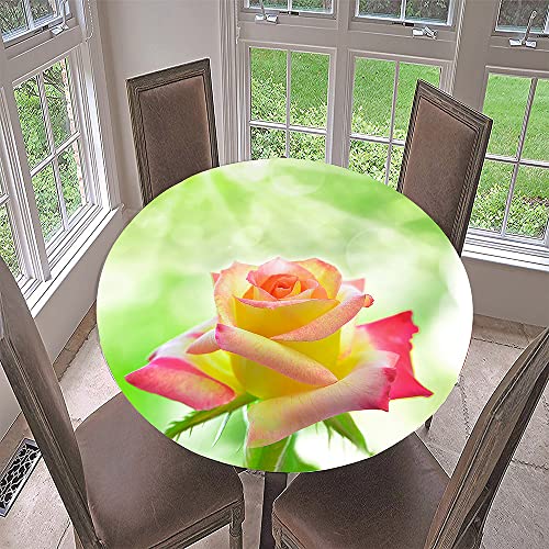 Morbuy Rund Tischdecke Elastisch, 3D Rose Rund Tischdecken Wasserdicht Lotuseffekt Abwaschbar Abwischbar Tischtuch für Dekoration Küchentisch Garten Outdoor (Durchmesser 100cm,Verlaufsrose) von Morbuy