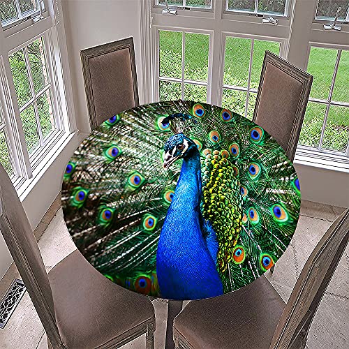 Morbuy Rund Tischdecke Elastisch, 3D Tierdruck Rund Tischdecken Wasserdicht Lotuseffekt Abwaschbar Abwischbar Tischtuch für Dekoration Küchentisch Garten Outdoor (Durchmesser 110cm,Pfau) von Morbuy