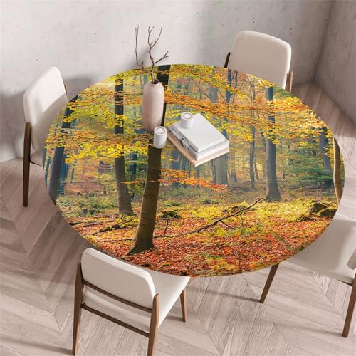 Morbuy Rund Tischdecke Elastisch, Gartentischdecke Schmutzabweisend Abwischbar Tischtuch für Dekoration Küchentisch Kaffee Restaurant Garten -Wald Druck (Herbst,200cm) von Morbuy