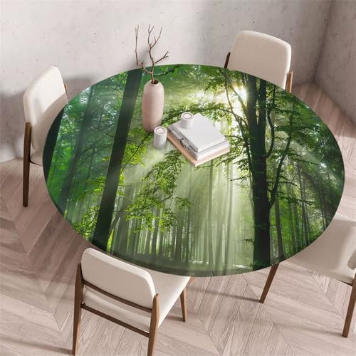 Morbuy Rund Tischdecke Elastisch, Gartentischdecke Schmutzabweisend Abwischbar Tischtuch für Dekoration Küchentisch Kaffee Restaurant Garten -Wald Druck (Sonnenschein,100cm) von Morbuy