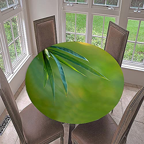 Morbuy Rund Tischdecke Elastisch, Lotuseffekt Tischdecke Abwaschbar Tischdecken Bambus Drucken Gartentischdecke Indoor Outdoor Tischtuch (Durchmesser 90cm,Bambus-Wald) von Morbuy