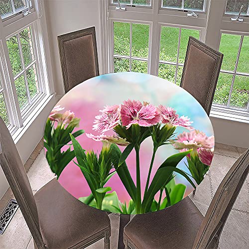 Morbuy Rund Tischdecke Elastisch, Lotuseffekt Tischdecke Abwaschbar Tischdecken Nelke Blume Drucken Gartentischdecke Indoor Outdoor Tischtuch (Durchmesser 70cm,Rosa) von Morbuy