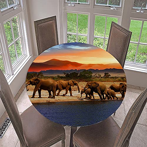Morbuy Rund Tischdecke Elastisch, Tierdruck Rund Tischdecken Wasserdicht Lotuseffekt Abwaschbar Abwischbar Tischtuch für Küchentisch Garten Outdoor (Durchmesser 90cm,Elefant) von Morbuy