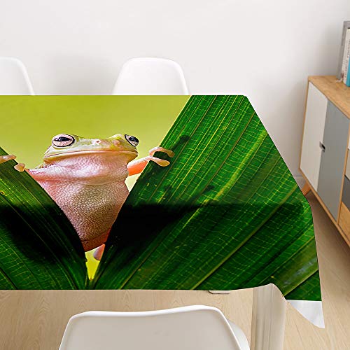 Morbuy Tischdecke Abwaschbar, 3D Tier Tischtuch Rechteckig Tischwäsche Gartentischdecke Outdoor Tischdekoration Wasserdicht Polyester Ölfest Pflegeleicht (140x140cm,Frosch) von Morbuy