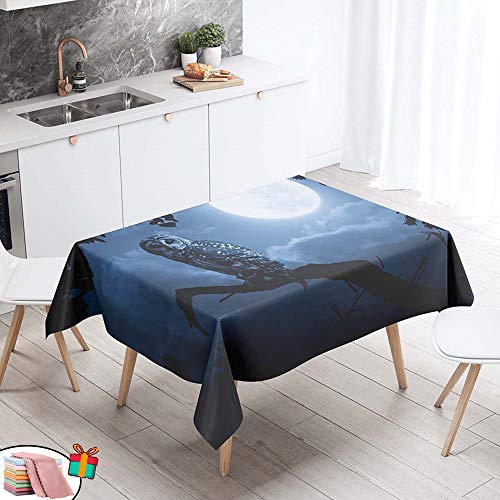 Morbuy Tischdecke Wasserdicht Abwaschbar, Rechteckig Quadratisch Schmutzabweisend 3D Drucken Tischtuch Abwischbar Wasserabweisend Lotuseffekt für Küche Garten (90x90cm,Weißer Mond) von Morbuy