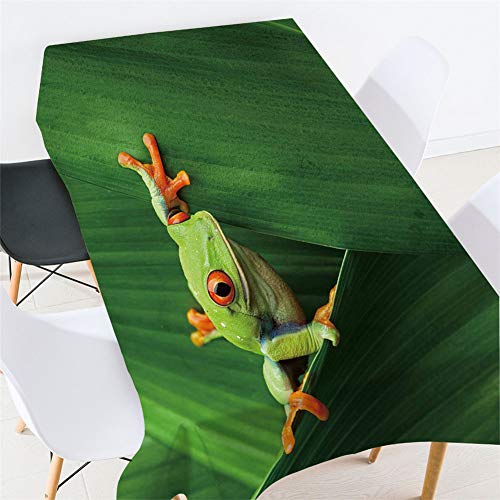 Morbuy Tischdecken Rechteckig, 3D Tier Drucken Tischdecke Quadratisch Wasserdicht Lotuseffekt Abwischbar Tischtuch für Küche Garten Outdoor Dekoration (140x180cm,Grüner Frosch) von Morbuy