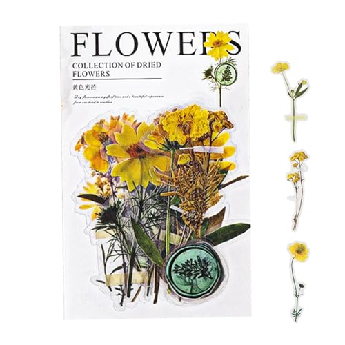 Moreeulsi Trockenblumen-Aufkleber, Trockenblumen-Aufkleber,Wasserfeste Journaling-Aufkleber - Pflanzenaufkleber, ästhetische Aufkleber für Dekorationsplaner, Scrapbook-Laptops Moreeulsi Trockenblumen-Aufkleber, Trockenblumen-Aufkleber,Wasserfeste Journaling-Aufkleber - Pflanzenaufkleber, ästhetische Aufkleber für Dekorationsplaner, Scrapbook-Laptops von Moreeulsi