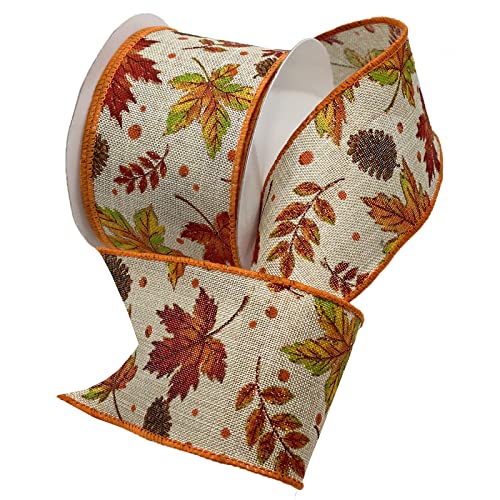 Morex Ribbon Juteband mit Draht, 6,3 cm x 9,1 m, Orange, 7795.60/10-620 Morex Ribbon Juteband mit Draht, 6,3 cm x 9,1 m, Orange, 7795.60/10-620 von Morex Ribbon