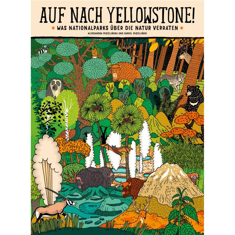 Auf Nach Yellowstone! - Aleksandra Mizielinska, Daniel Mizielinski, Gebunden von Moritz