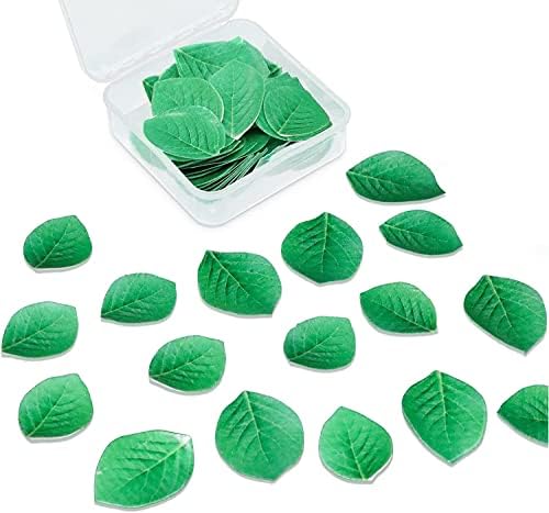 Morofme 92 Stück essbare Blätter, essbare grüne Kuchendekoration, essbares Oblatenpapier, Kuchendekoration für Hawaii, Aloha, Sommer, Hochzeit, Geburtstag, Babyparty Morofme 92 Stück essbare Blätter, essbare grüne Kuchendekoration, essbares Oblatenpapier, Kuchendekoration für Hawaii, Aloha, Sommer, Hochzeit, Geburtstag, Babyparty von Morofme