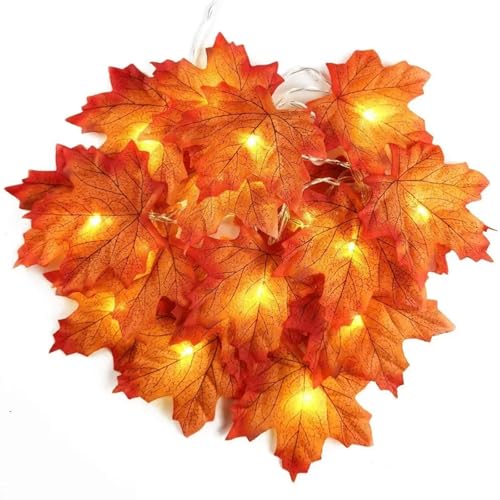 Morofme Ahornblatt Lichterkette 3M 20 LED Erntedankfest Lichter Batteriebetrieben Blätter Girlande für Indoor Outdoor Herbst Urlaub Weihnachten Ernte Thanksgiving Party von Morofme
