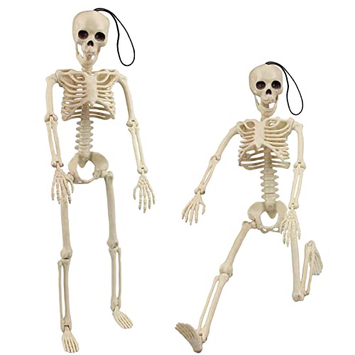 Morofme Halloween-Skelett, 2 bewegliche Ganzkörper-Halloween-Skelette mit beweglichen Gelenken für Spukhaus-Requisiten, Halloween-Party-Dekorationen von Morofme