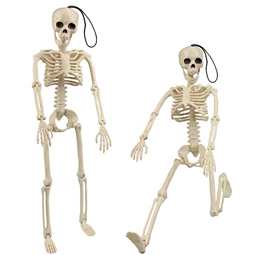 Morofme Halloween-Skelett, 2 bewegliche Ganzkörper-Halloween-Skelette mit beweglichen Gelenken für Spukhaus-Requisiten, Halloween-Party-Dekorationen Morofme Halloween-Skelett, 2 bewegliche Ganzkörper-Halloween-Skelette mit beweglichen Gelenken für Spukhaus-Requisiten, Halloween-Party-Dekorationen von Morofme