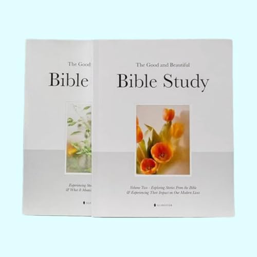 The Good and Beautiful Bible Study - Experiencing Stories from The Bible and Meaning of Life Today (Style 01 02) von Mounteps