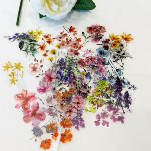 Blumen Dekorationsset – 50 Stück Ästhetische PET-Sticker Transparente Frühlingsmotive für Bullet Journals, Laptops & DIY-Projekte Blumen Dekorationsset – 50 Stück Ästhetische PET-Sticker Transparente Frühlingsmotive für Bullet Journals, Laptops & DIY-Projekte von Movocaty