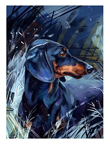 Diy Malen Nach Zahlen _ Dackel Hund Tier _ Gift Painting By Numbers Kits _ With Brush And Acrylic Paint Kit _ 40X50Cm _ 【Giveaway 】Wooden Frames von Moyanshatek