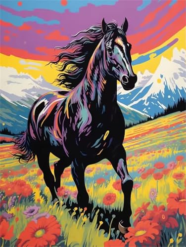 Malen Nach Zahlen Erwachsene,Malen Nach Zahlen Kinder,DIY Schwarzes Pferd Paint by Numbers mit 3-Pinseln und Acrylfarbe Handgemalt Ölgemälde Leinwand für Home Decor,Mit Rahmen 30x40cm von Muaor