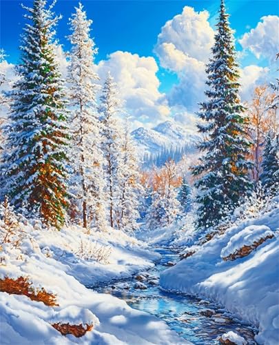 Malen Nach Zahlen für Erwachsene Weiße Winterlandschaft,20x26inch malen nach zahlen erwachsene Set Ohne Rahmen,DIY Acrylic Handgemalt Ölgemälde Kit,Geschenk für Frauen und Männer Malen Nach Zahlen für Erwachsene Weiße Winterlandschaft,20x26inch malen nach zahlen erwachsene Set Ohne Rahmen,DIY Acrylic Handgemalt Ölgemälde Kit,Geschenk für Frauen und Männer von Muaor
