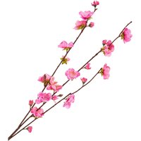 Kirschblüten Zweig von DPI