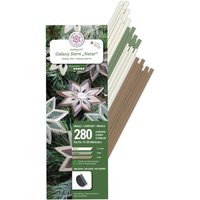 Quilling-Set "Natural Galaxy Stars" Quilling-Set "Natural Galaxy Stars" von papier+ideen