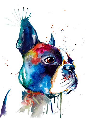 Malen Nach Zahlen Kits Boston Terrier Bunte Süße Haustier Hund Malen Nach Zahlen Für Erwachsene Und Kinder DIY Ölgemälde Geschenk-Kits von Munxag