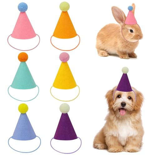 Muorruo 6 Stück Mini-Partyhüte für Kuscheltiere, Kegelhüte für Geburtstagspartys, Puppen, Hunde, Katzen, Verschiedene Tiergeburtstagsdekorationen, Partydekor, Verstellbarer Kegelhut Muorruo 6 Stück Mini-Partyhüte für Kuscheltiere, Kegelhüte für Geburtstagspartys, Puppen, Hunde, Katzen, Verschiedene Tiergeburtstagsdekorationen, Partydekor, Verstellbarer Kegelhut von Muorruo