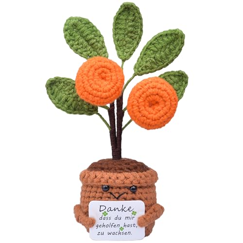 Mwmoeen Pocket Hug Positive Sonnenblume, Kreative Strickwolle Positive Kartoffel, Positive Sukkulente Positiver Kaktus Beste Freundin Geschenke für Freundin Kleine Geschenke für Frauen Mwmoeen Pocket Hug Positive Sonnenblume, Kreative Strickwolle Positive Kartoffel, Positive Sukkulente Positiver Kaktus Beste Freundin Geschenke für Freundin Kleine Geschenke für Frauen von Mwmoeen