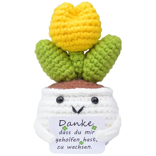 Mwmoeen Pocket Hug Positive Sonnenblume, Kreative Strickwolle Positive Kartoffel, Positive Sukkulente Positiver Kaktus Beste Freundin Geschenke für Freundin Kleine Geschenke für Frauen von Mwmoeen